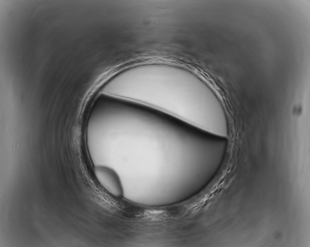 X0000101150055200806270810