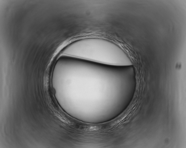 X0000101150056200806270810