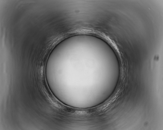X0000101150057200806270810