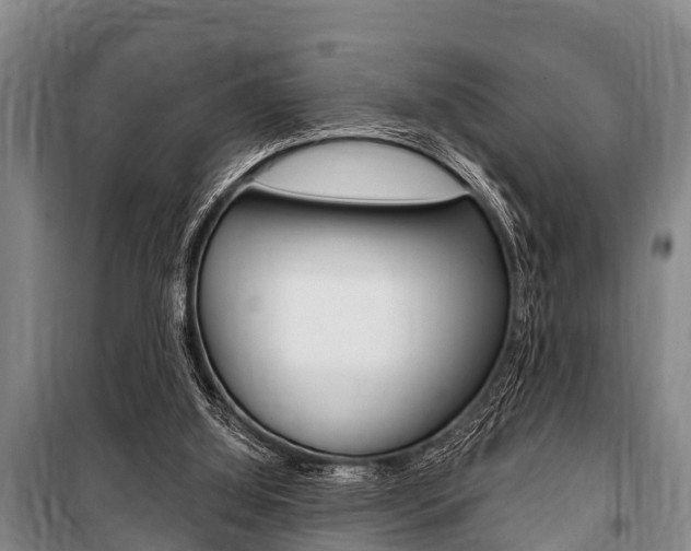 X0000101150060200806270810
