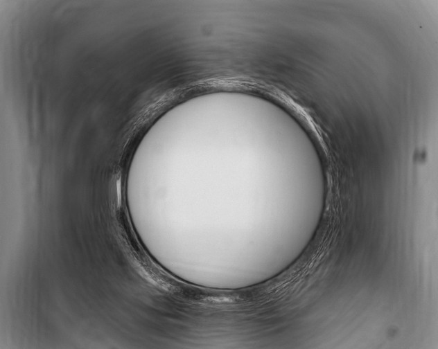 X0000101150061200806270810