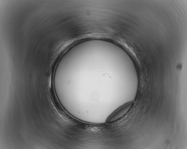 X0000101150062200806270810