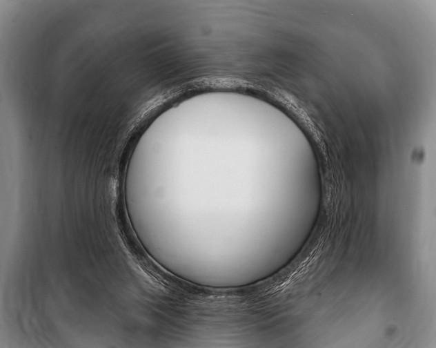 X0000101150063200806270810