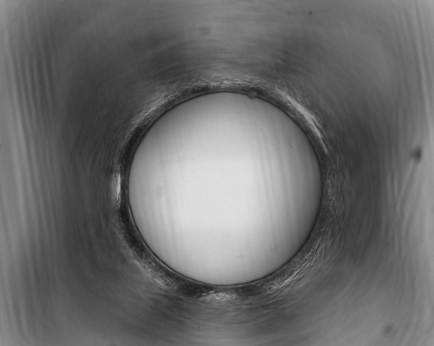 X0000101150067200806270810