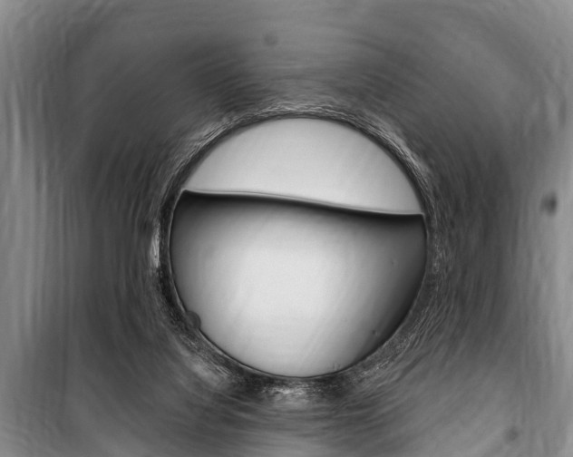 X0000101150068200806270810