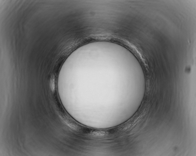 X0000101150069200806270810