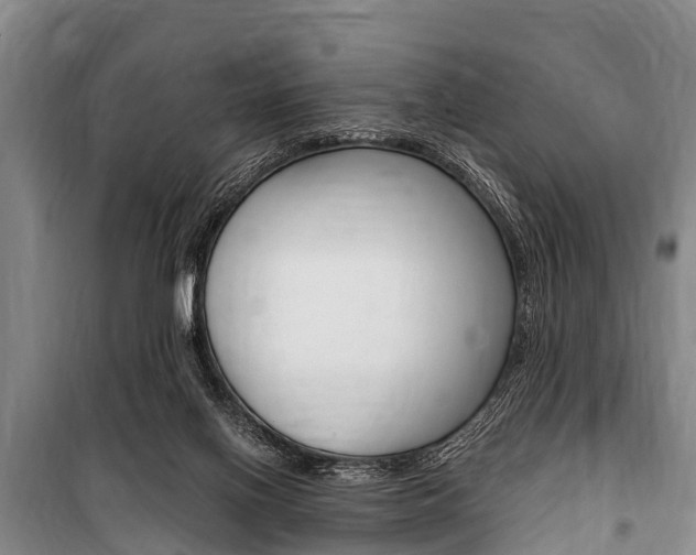 X0000101150070200806270810