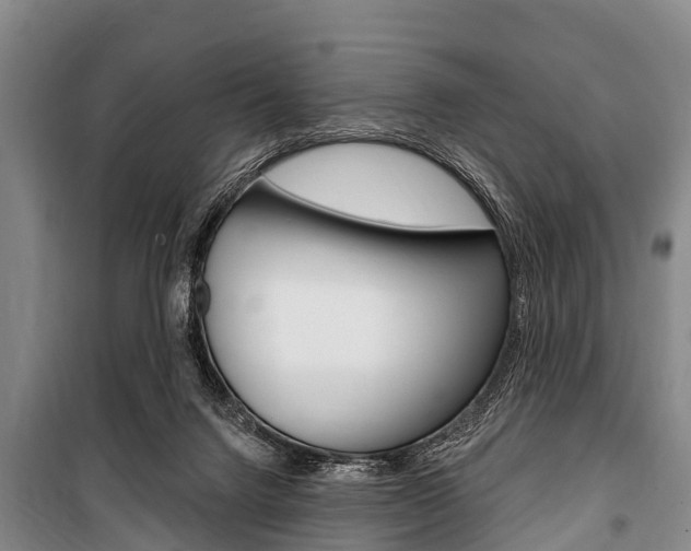 X0000101150072200806270810