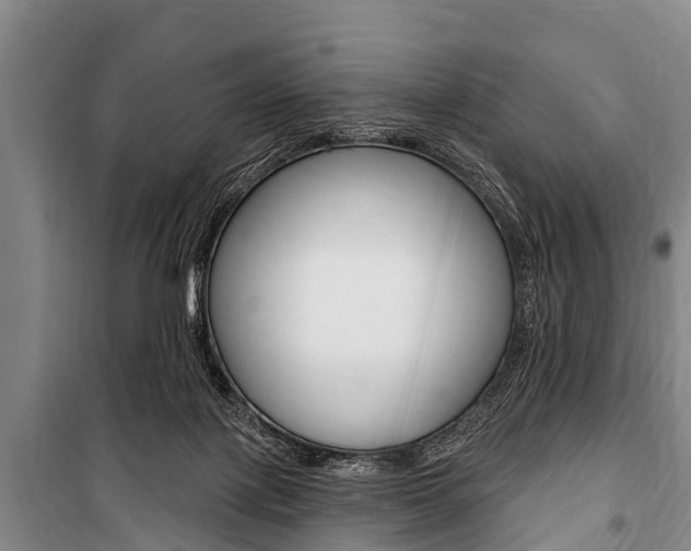 X0000101150075200806270810