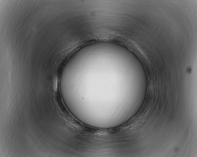 X0000101150076200806270810