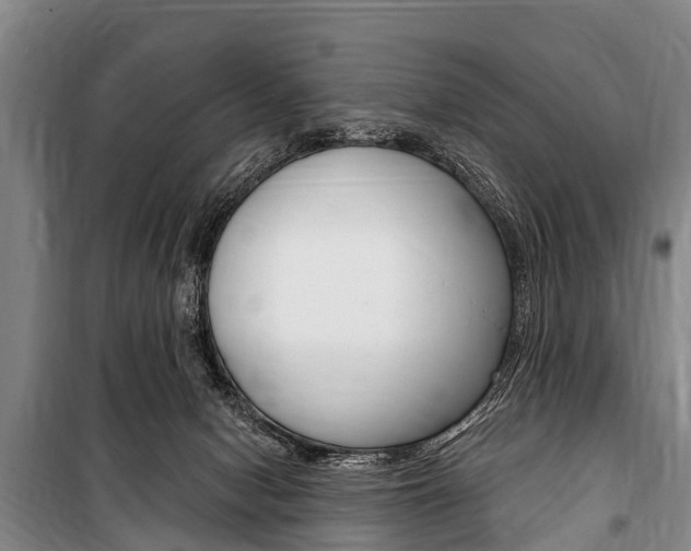 X0000101150078200806270810
