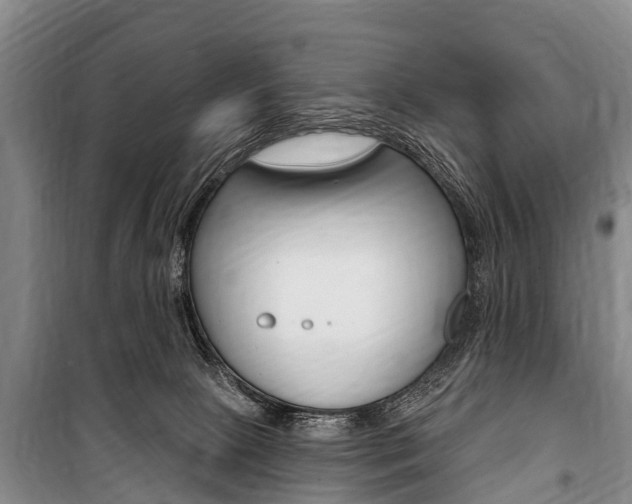 X0000101150081200806270810