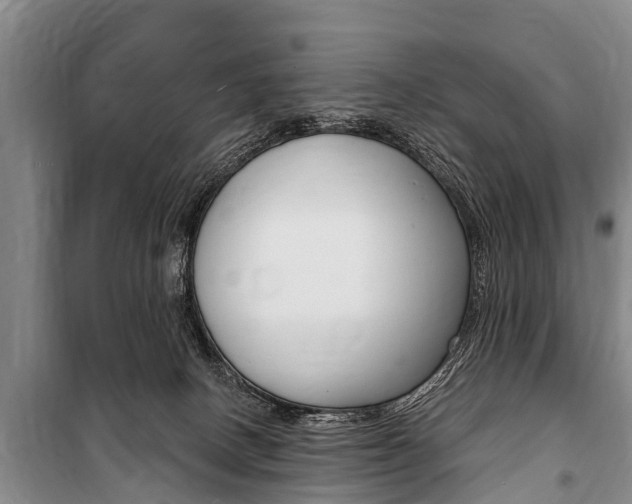 X0000101150082200806270810