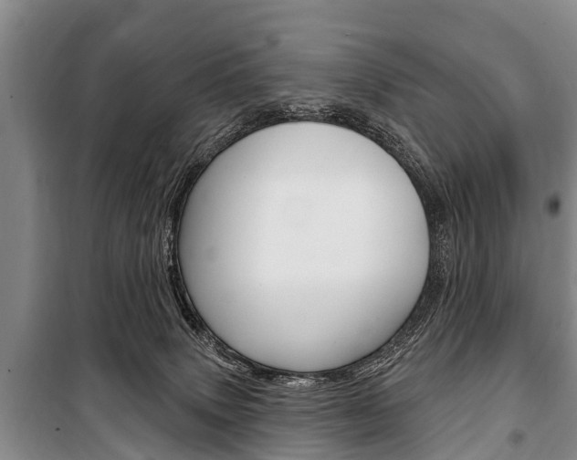 X0000101150083200806270810