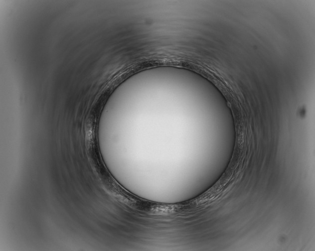 X0000101150084200806270810
