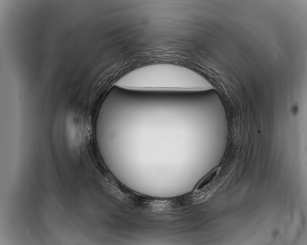 X0000101150085200806270810