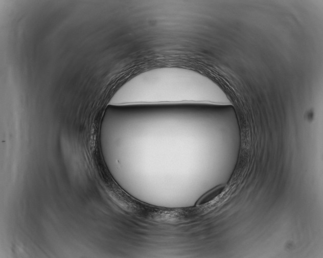 X0000101150086200806270810