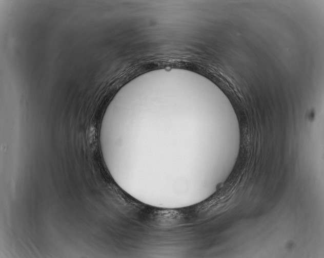 X0000101150087200806270810