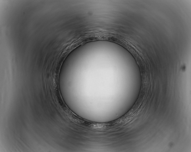 X0000101150088200806270810