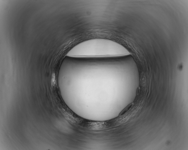 X0000101150089200806270810