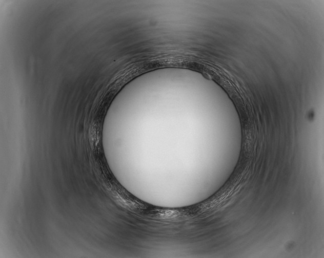 X0000101150091200806270810