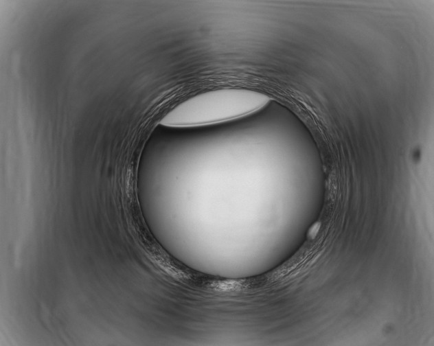 X0000101150092200806270810