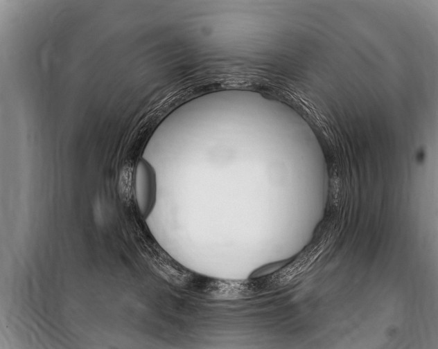 X0000101150093200806270810
