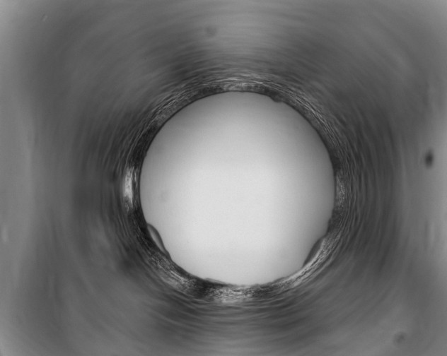 X0000101150094200806270810
