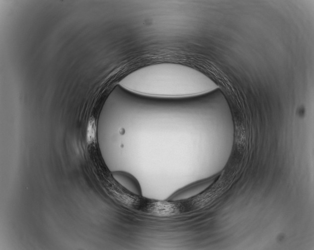 X0000101150095200806270810