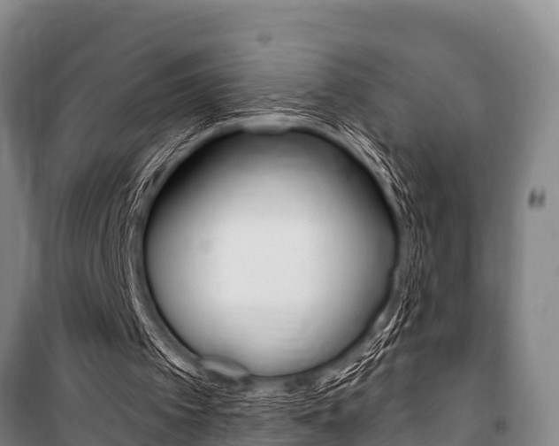 X0000101150097200806270809