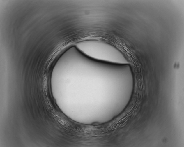 X0000101150098200806270809