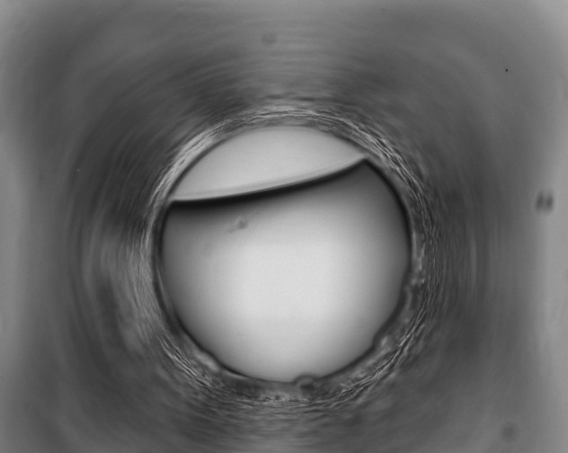 X0000101150099200806270809
