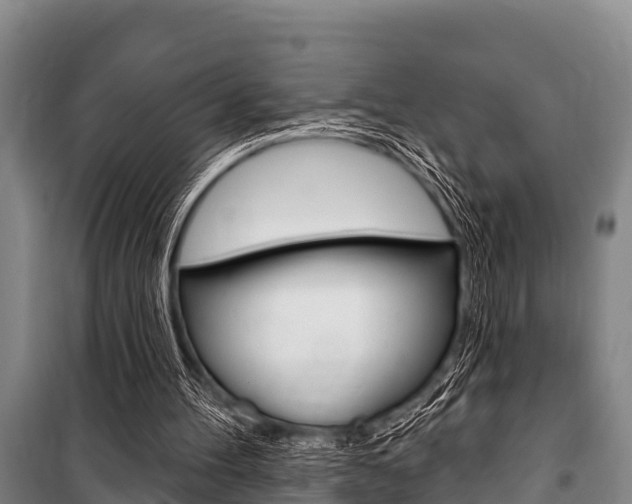 X0000101150100200806270809
