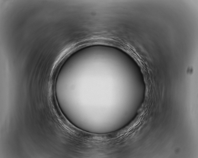 X0000101150101200806270809