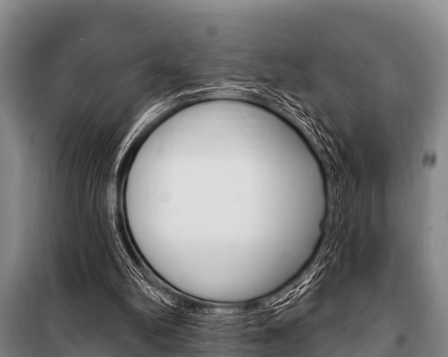 X0000101150102200806270809