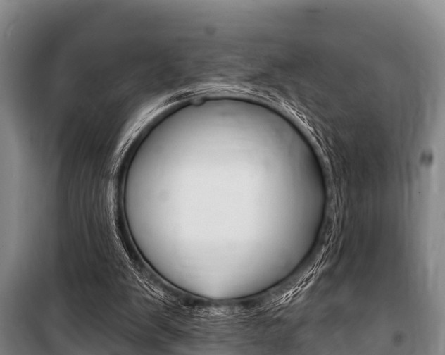 X0000101150103200806270809