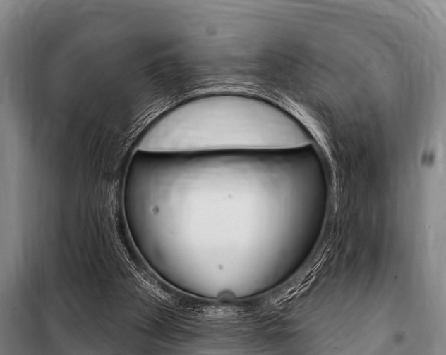 X0000101150105200806270809