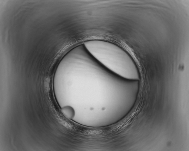 X0000101150106200806270809