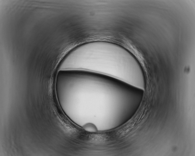 X0000101150107200806270809