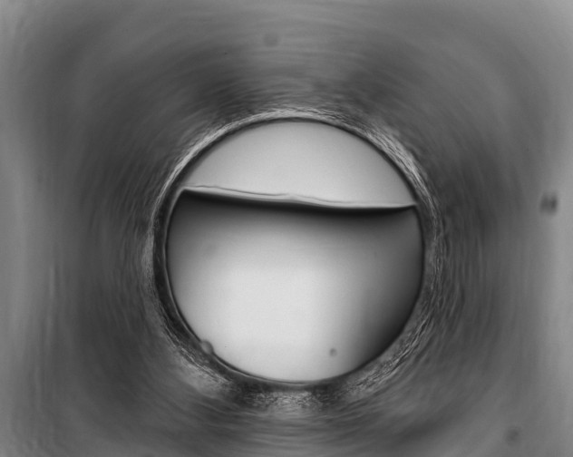 X0000101150108200806270809