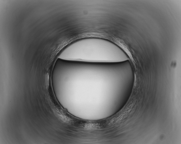 X0000101150109200806270809