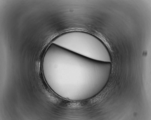 X0000101150110200806270809
