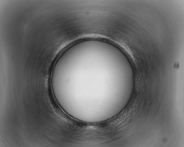 X0000101150111200806270809