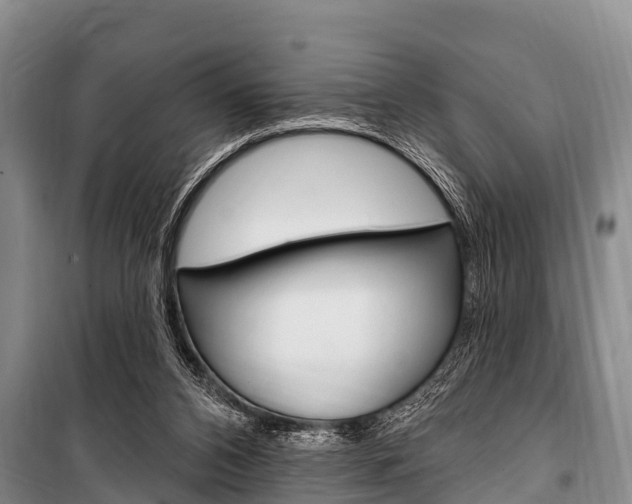 X0000101150112200806270809