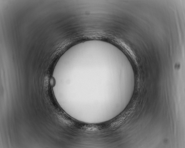 X0000101150113200806270809