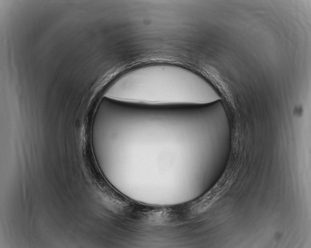 X0000101150116200806270809