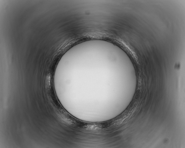 X0000101150117200806270809