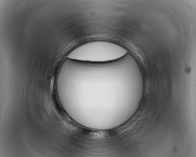 X0000101150118200806270809