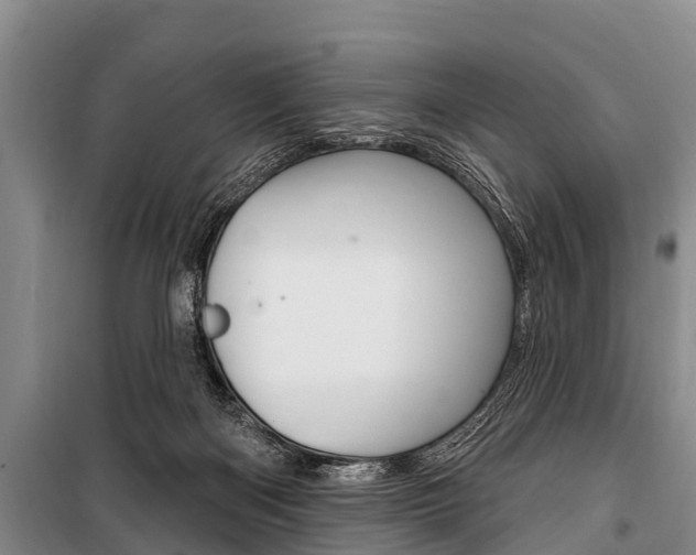 X0000101150122200806270809