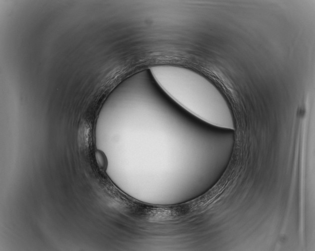 X0000101150123200806270809